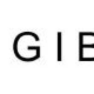 Zingiber_Australia_Swimwear_Designer_Label_540x